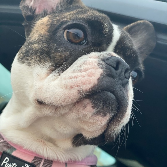 Meet your Posher, Beth - Picture 8 of 11